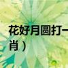 花好月圆打一生肖打一生肖(花好月圆打一生肖) 花好月圆打一生肖打一生肖(花好月圆打一生肖)