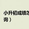 小升初成绩怎么查询河北（小升初成绩怎么查询）