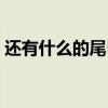 还有什么的尾巴像什么(什么的尾巴像什么) 还有什么的尾巴像什么(什么的尾巴像什么)