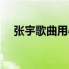 张宇歌曲用心良苦歌词（用心良苦歌词）