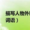 描写人物外貌的词语abcc（描写人物外貌的词语）