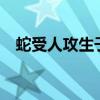 蛇受人攻生子小说推荐（蛇x人bl肉生子）