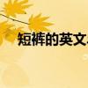 短裤的英文单词复数（短裤的英文单词）