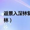返景入深林复照青苔上表达的情感(返景入深林) 返景入深林复照青苔上表达的情感(返景入深林)