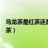 乌龙茶是红茶还是绿茶的功效与作用（乌龙茶是红茶还是绿茶）