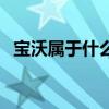 宝沃属于什么品牌的（宝沃是哪里的品牌）