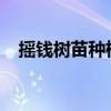 摇钱树苗种植攻略2019（摇钱树苗攻略）