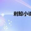刺鲸小说百度网盘（刺鲸百度云）