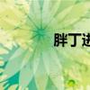 胖丁进化是什么（胖丁进化）