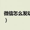 微信怎么发动态图片视频（微信怎么发动态图）