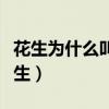 花生为什么叫落花生视频（花生为什么叫落花生）