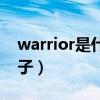 warrior是什么牌子音箱（warrior是什么牌子）