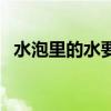 水泡里的水要挤掉吗（水泡里的水是什么）