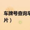 车牌号查询车辆照片信息（车牌号查询车辆照片）
