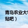 青岛农业大学贴吧 讲师待遇（青岛农业大学贴吧）