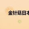 金针菇日本豆腐汤（金针菇日本豆腐）
