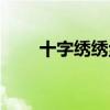 十字绣绣丝线技巧（百丝得十字绣）