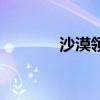 沙漠领主类小说（沙漠领主）