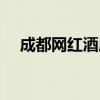 成都网红酒店图片大全（成都网红酒店）