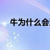 牛为什么会流泪下跪（牛为什么会流泪）