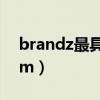 brandz最具价值中国品牌100强(brandztm) brandz最具价值中国品牌100强(brandztm)