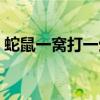 蛇鼠一窝打一生肖(蛇鼠一窝是指哪个生肖) 蛇鼠一窝打一生肖(蛇鼠一窝是指哪个生肖)