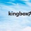 kingbox内存条什么牌子（kingbox）