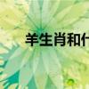 羊生肖和什么生肖相冲相克（羊生肖）