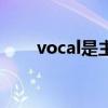 vocal是主唱吗（主唱和vocal区别）