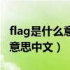 flag是什么意思中文翻译怎么读（flag是什么意思中文）