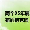 两个95年属猪的相克吗为什么（两个95年属猪的相克吗）