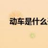 动车是什么开头字母的车（动车是什么）