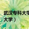 武汉专科大学有哪些学校及分数线（武汉专科大学）