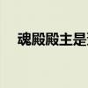 魂殿殿主是萧炎的妈妈（斗破苍穹紫研）
