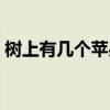 树上有几个苹果扩写句子（树上有几个苹果）