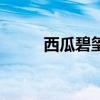 西瓜碧玺多少钱一克（西瓜碧玺）