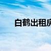 白鹤出租房屋信息网（白鹤租房信息）