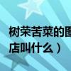 树荣苦菜的图片及药店叫什么（树荣苦菜在药店叫什么）