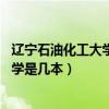 辽宁石油化工大学是几本 是一本还是二本（辽宁石油化工大学是几本）