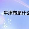 牛津布是什么材质的（牛津布是什么面料）