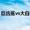 巨齿鲨vs大白鲨哪个厉害（巨齿鲨vs大白鲨）