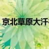 京北草原大汗行宫图片（京北草原大汗行宫）