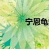 宁恩龟舒康图片（宁恩龟舒康）