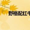 野格配红牛几比几（野格配红牛比例）
