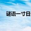 谜语一寸日光打一字（一寸日光打一字）