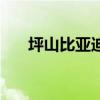 坪山比亚迪咋样（坪山比亚迪怎么样）