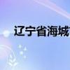 辽宁省海城市简介概况（辽宁省海城市）