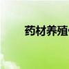 药材养殖什么赚钱（养殖什么赚钱）