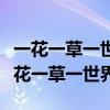 一花一草一世界一树一叶一菩提什么意思（一花一草一世界）