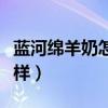 蓝河绵羊奶怎么样价格事件（蓝河绵羊奶怎么样）